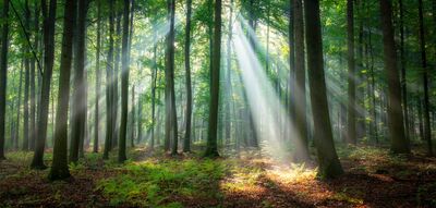 AdobeStock_364497353