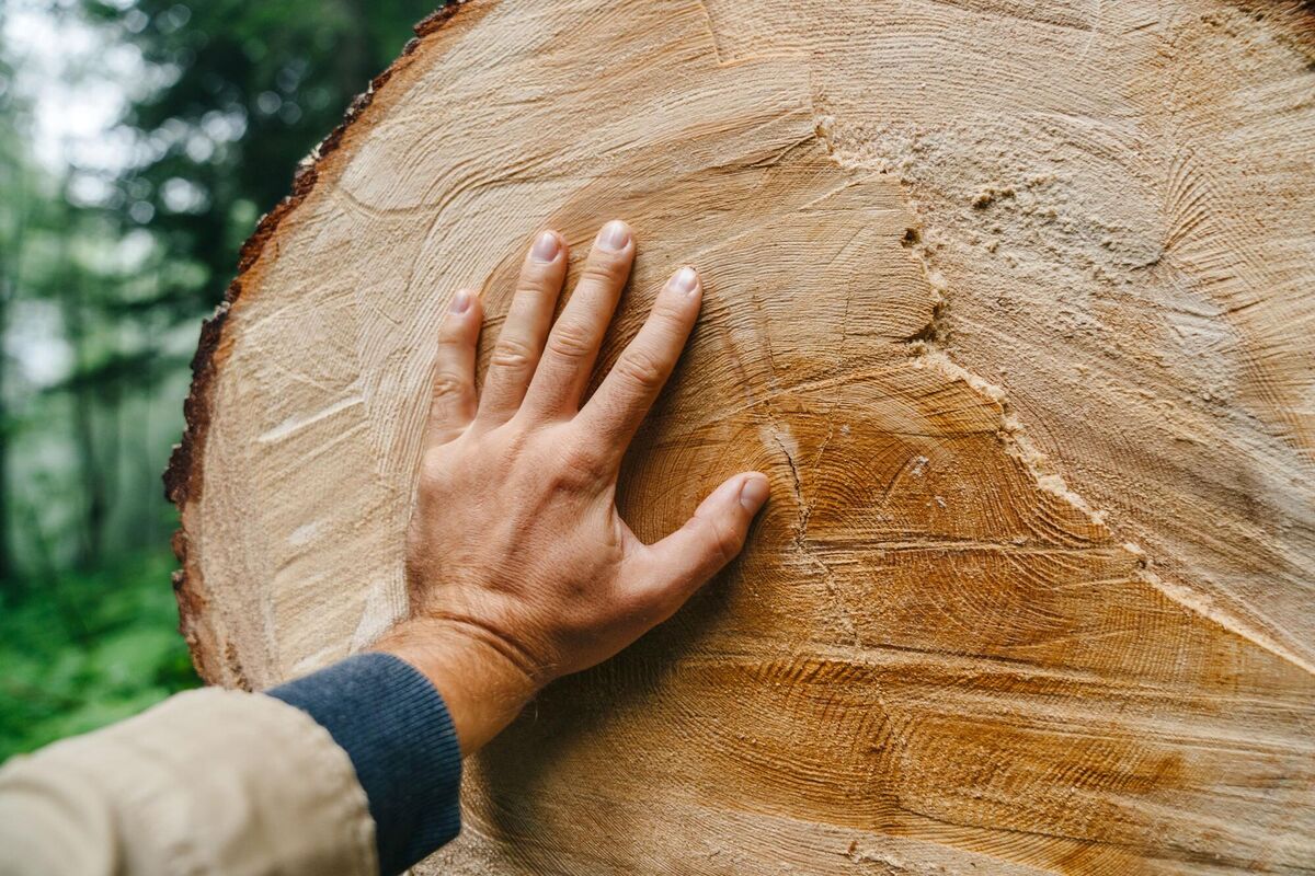 AdobeStock_167103023-f697ecsc2g7mwhp