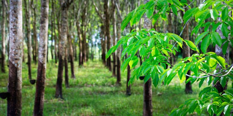 AdobeStock_431470694