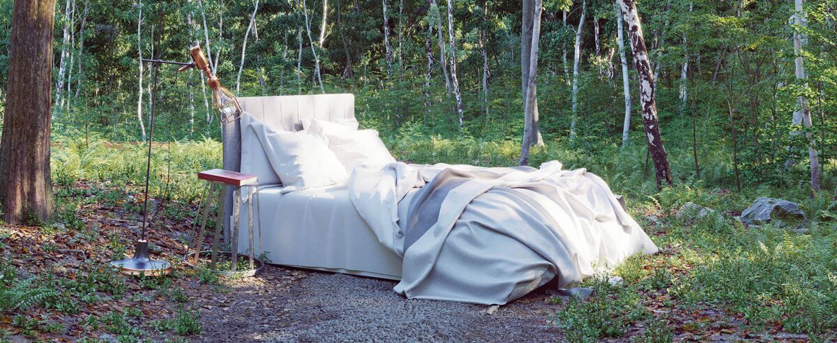 AdobeStock_469755532-5xzgxcy7j0v5wzd