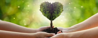 AdobeStock_437824672